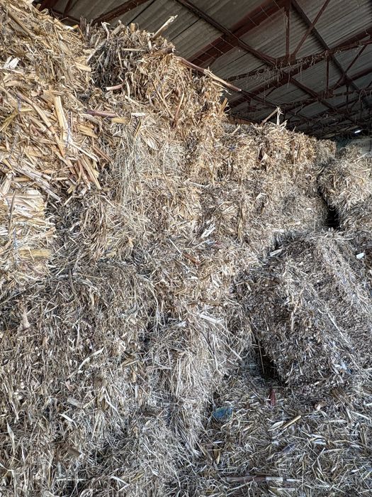 Продавам Бали  от царивичак.