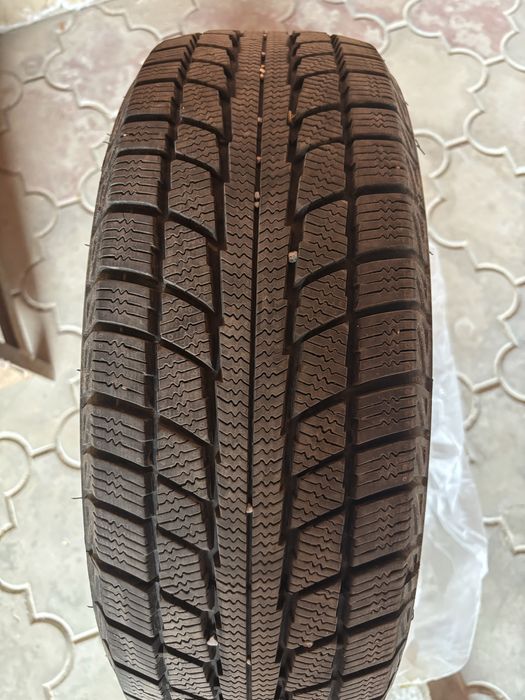 Зимние шины Triangle