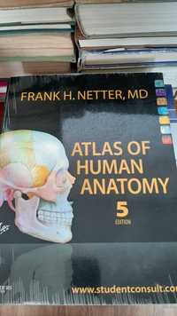 Atlas de anatomie a omului Netter Frank H. Netter si altele