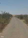 Teren intravilan de vânzare – Tuzla, zonă lac Techirghiol