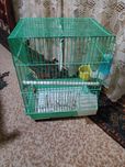 Продам клетку для попугаев