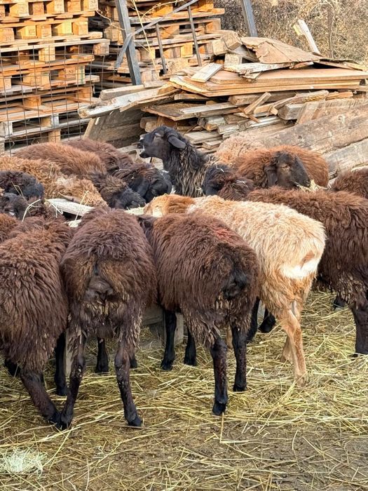 Срочно продается