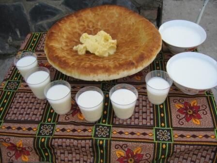 Qimiz toza halol
