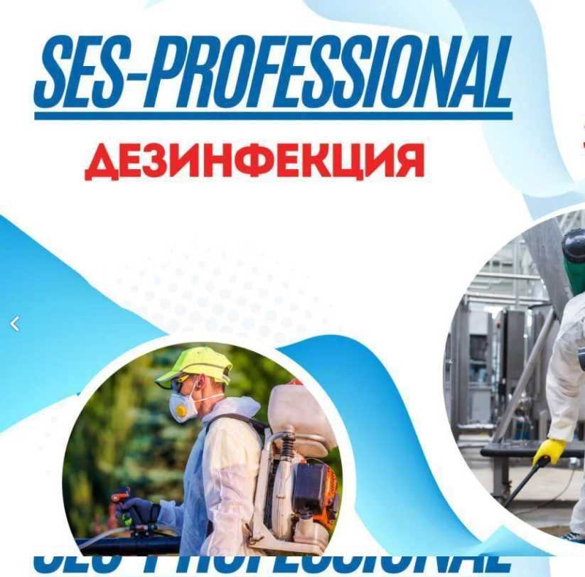 Дезинсекция Уничтожение тараканов клопов Обработка Dezinfeksiya