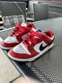 Nike dunks Custom