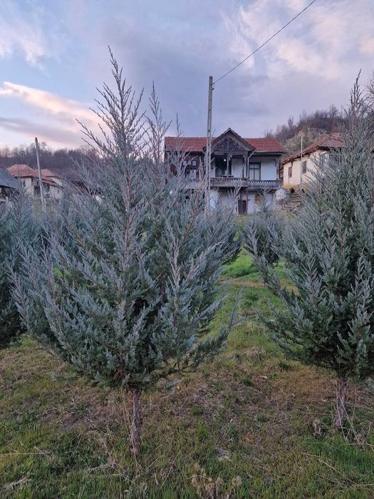 Casa de vacanta schimb