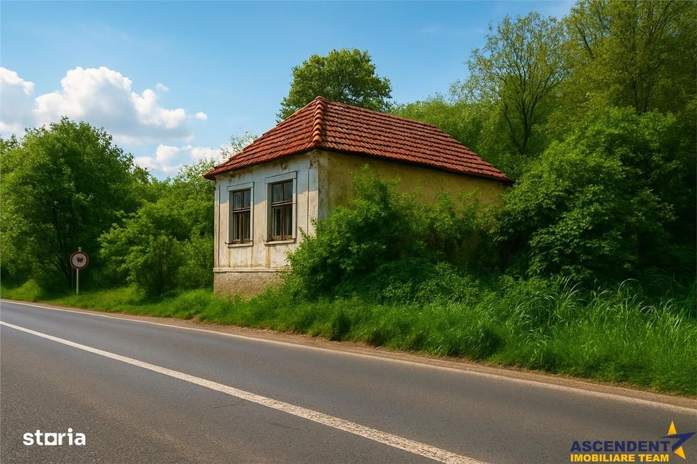 Domeniu verde autentic,  +5.000mp, front la DJ, Valcele, Brasov -- Cov