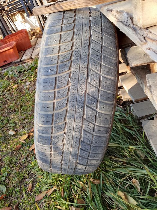 Шины зимние на 19 triangle