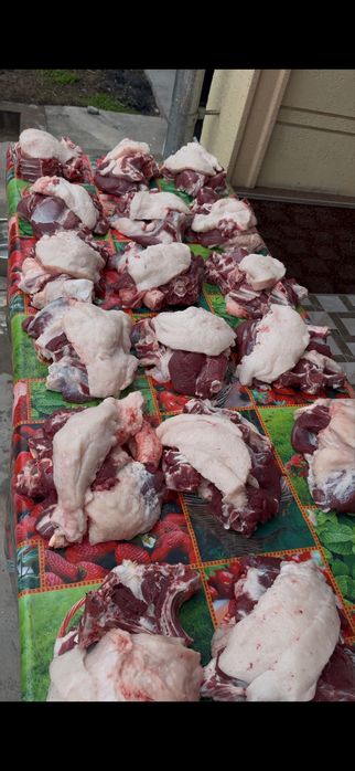 Qoylarimiani narhi 140000 min somdan