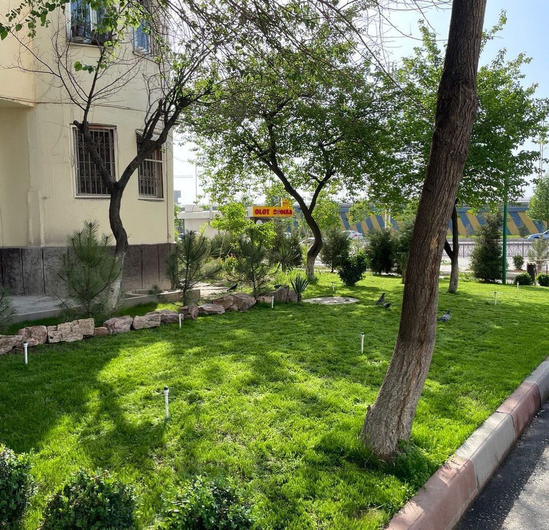 Gazon. Archa. Gullar