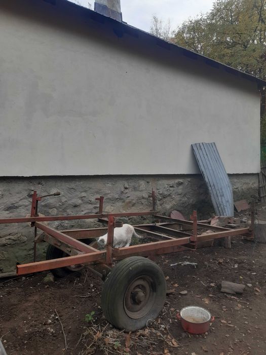 Remorca / Trepied padure