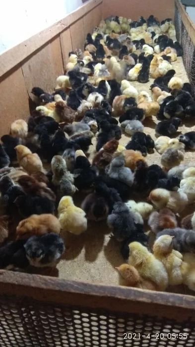 Подарите на новый год