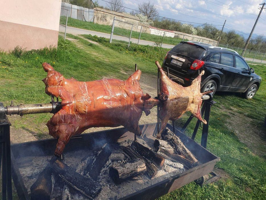 Rotisor, Protap si Diverse Delicii pentru Ocazii Speciale