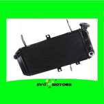 Radiator Suzuki SV650S SV650 SV650A SV650SA 2005-2015 A1296