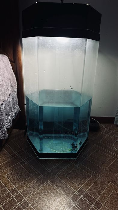 Аквариум 50 литров