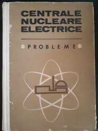 Centrale nucleare electrice, Probleme, Nicolae Dănilă