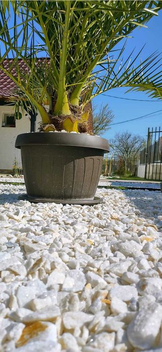 Spartură de Marmură Albă/Praf de Marmură Alb/PiatrăNaturalăDecorativă