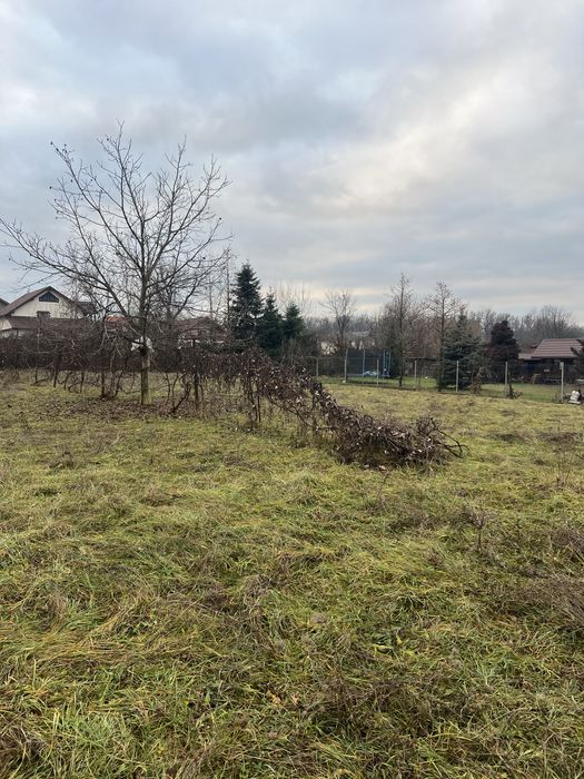 Teren Intravilan 850mp la intrare in Baia sprie