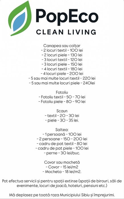 Curatare & igienizare canapele, saltele, covoare - Karcher, Sibiu