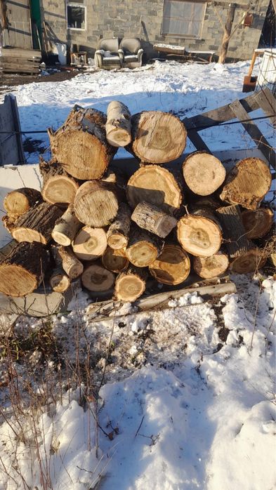 Продам дрова  Продаю дрова — 2 куба, цена 12 000 тенге.