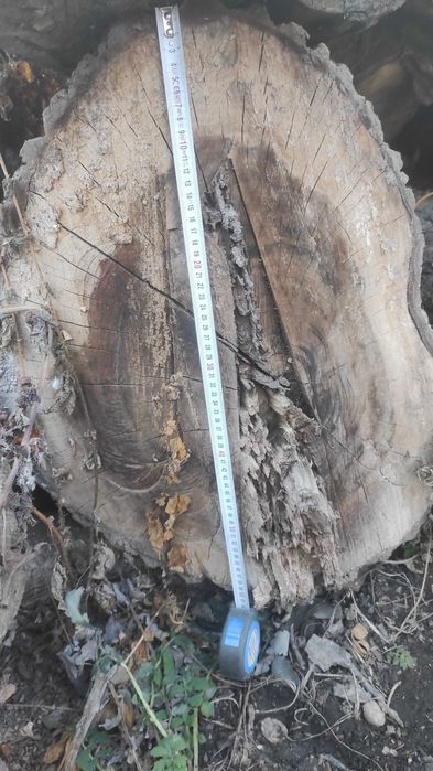 Lemn de nuc material mobilă