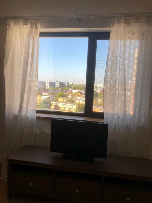 Orhideelor 19, garsoniera, Proprietar
