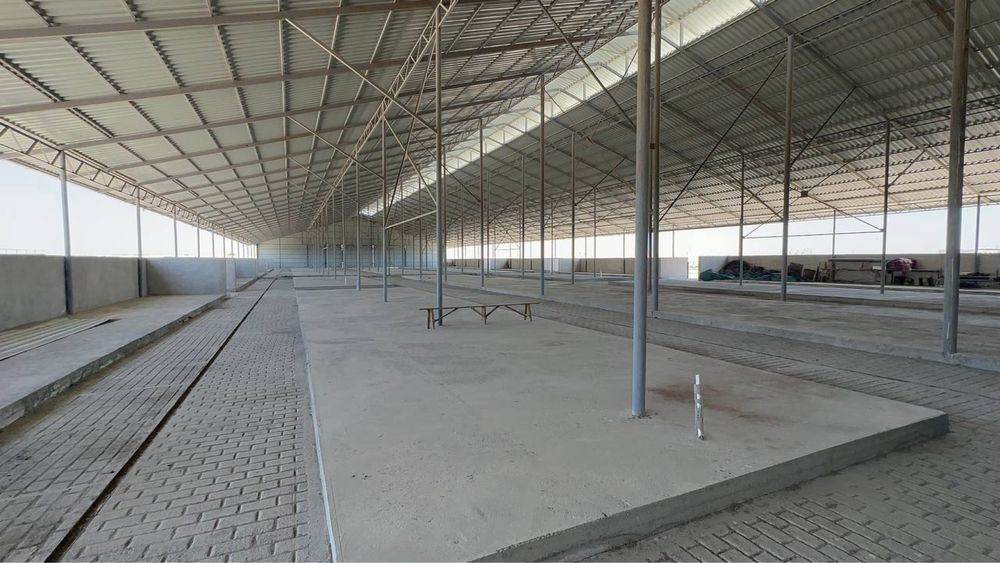 Продается новый Ферма в Бухаре