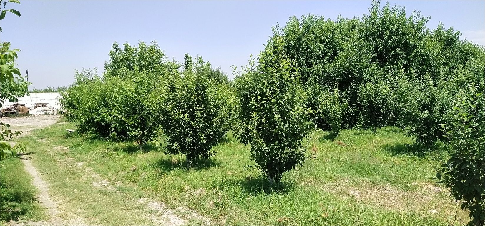 Мини зона отдыха в Калача