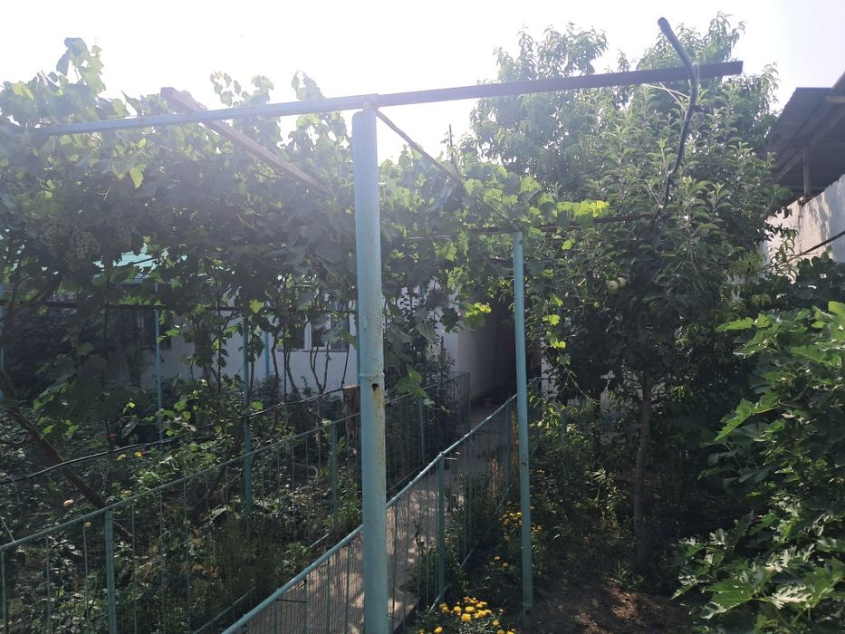 ‼️Срочно‼️Дом 6.6 соток Зангиота