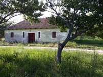Vând livadă în Vaida Bihor