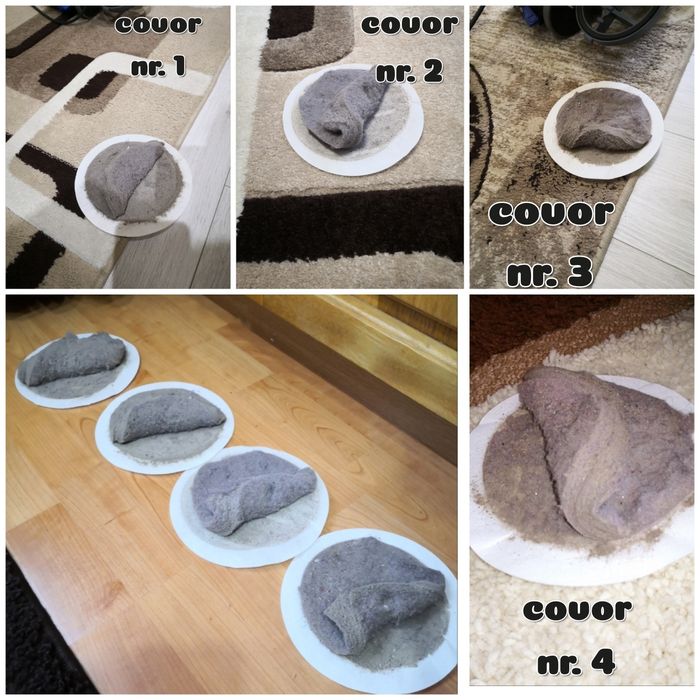 Curatare canapele/covoare/auto