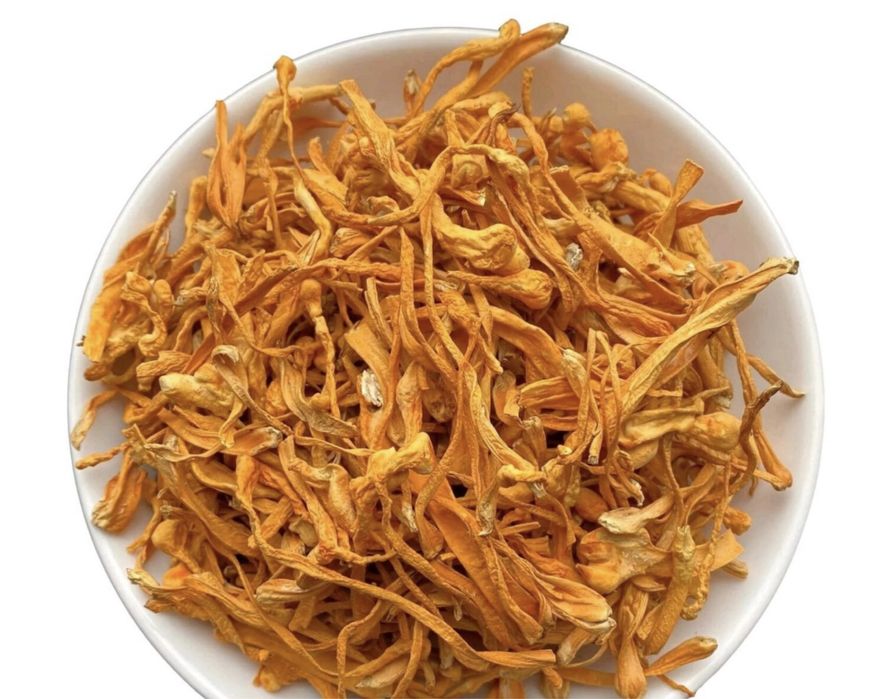 Кардицепс плодовое тело