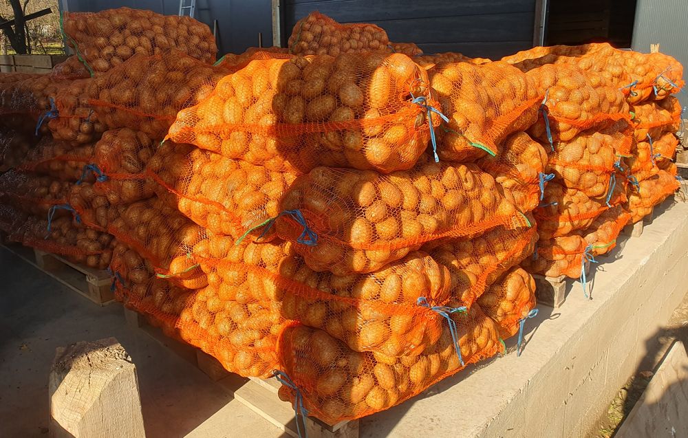 Cartofi consum Carrera, ambalat astazi 12 noiembrie