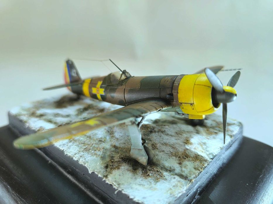 Modelism Diorama IAR 80 scara 1:100 rasina