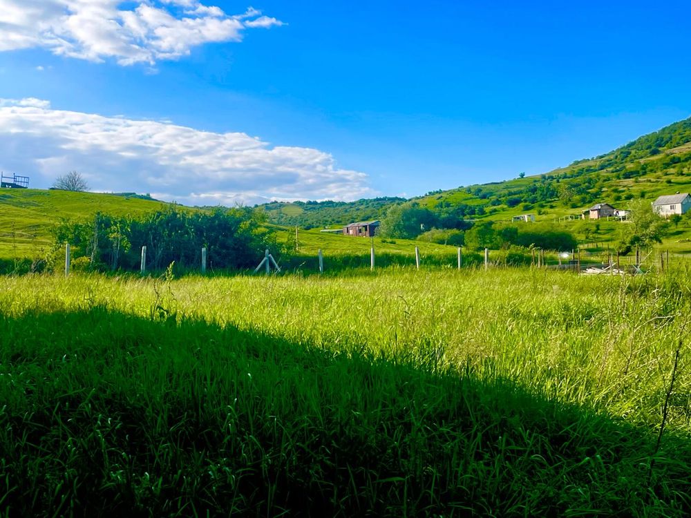 Exclusivitate! Teren cu utilitati, 757mp, Viisoara.