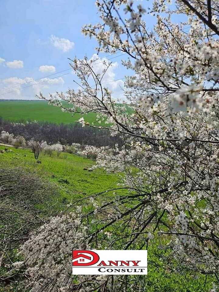 Две сгради с дворно място в с. Каранци