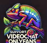 Serviciichatter / trainer / support videochat /OF de acasa