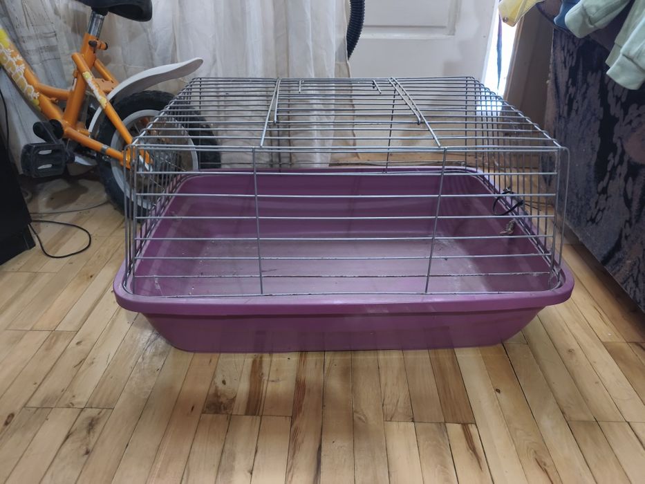 Клетка за морско свинче
