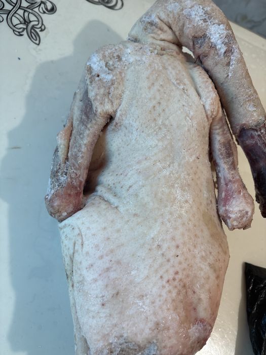 Сойылған таза үй қазы сатылады