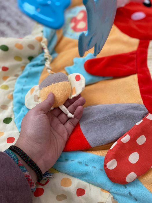 Salteluta activitati