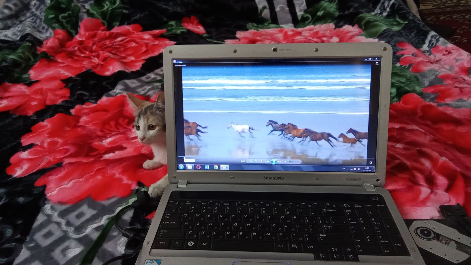 Самсунг холати ало