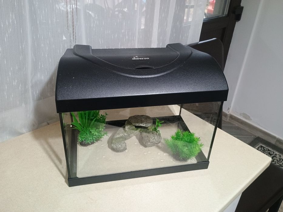 Acvariu complet start up 40 led