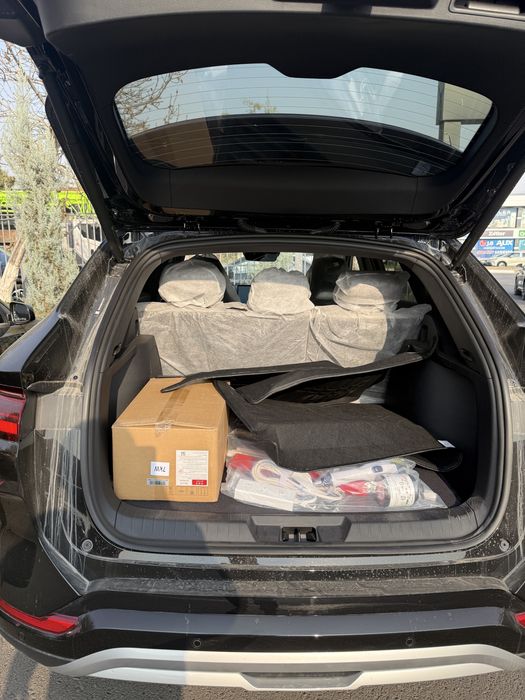 BYD Champion Smart Notariusga Tayyor