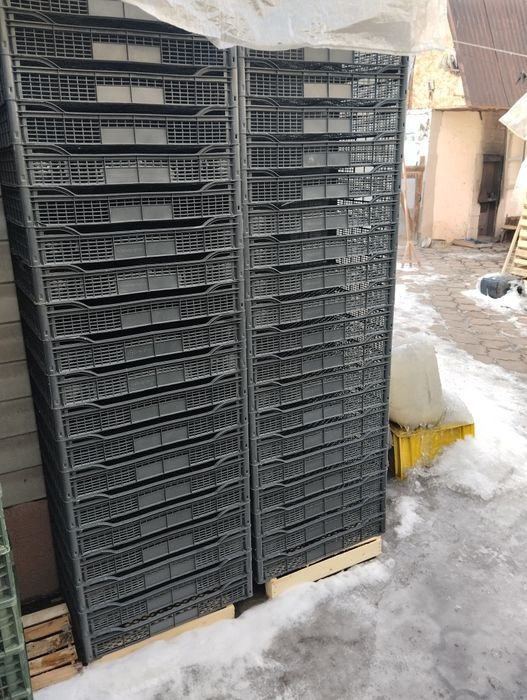 Продам ящики пластиковые
