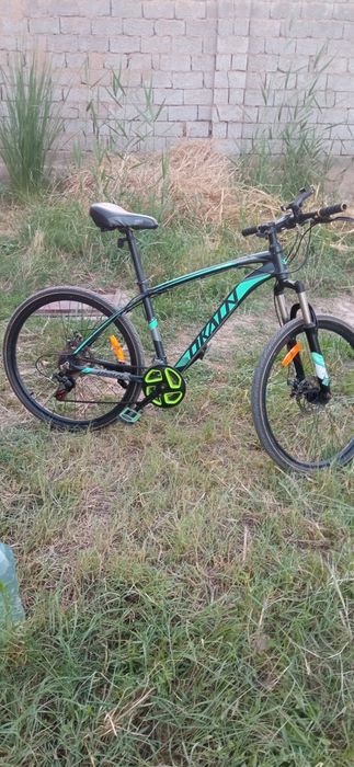 Velosiped xolati alo minishga tayyor
