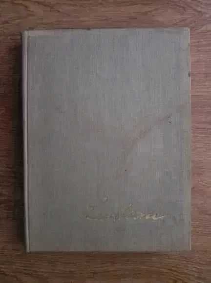 Album picturi Stefan Luchian