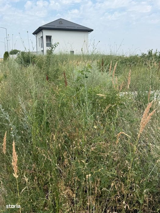 Teren Vidra Berceni 307 Mp