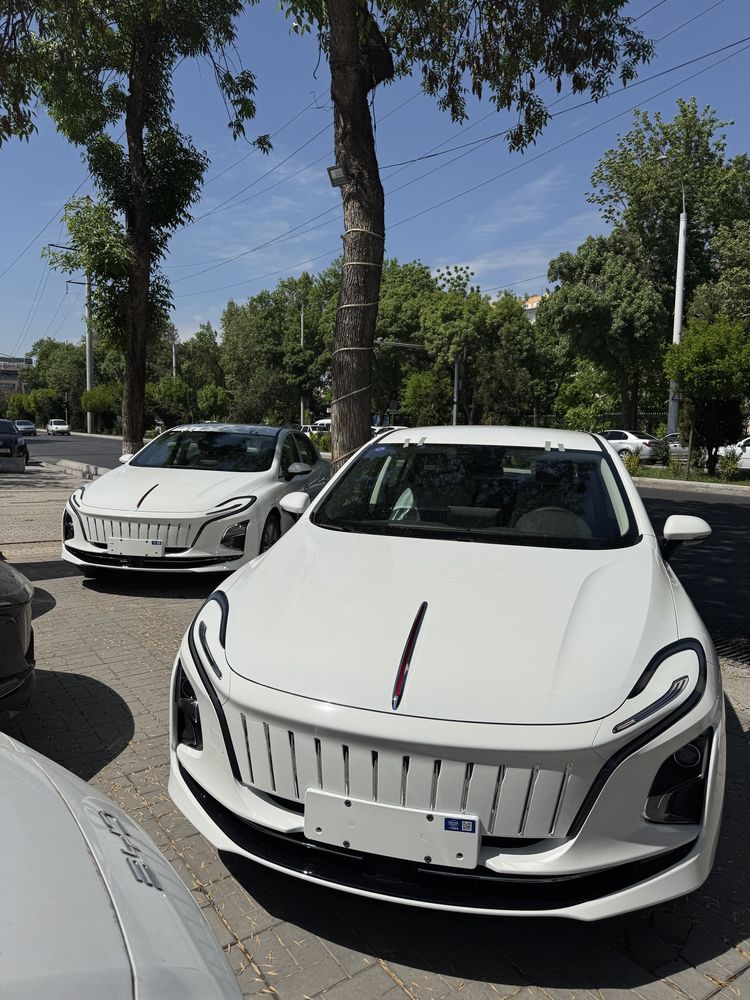 Hongqi e-qm 5 full nomer olinga