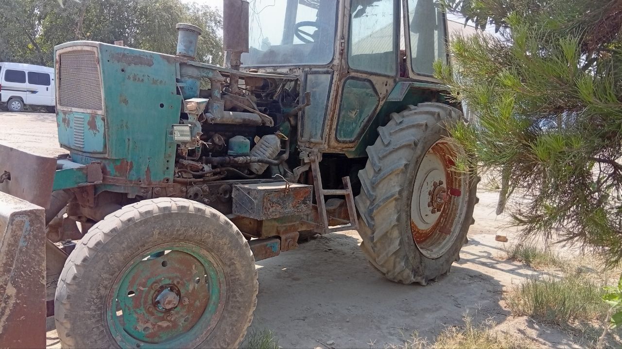 Xolati yaxshi masla yemidi karapkalar sogʻ