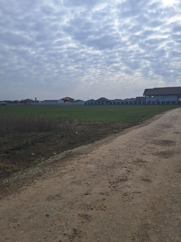 Vând Nojorid teren intravilan  parcela